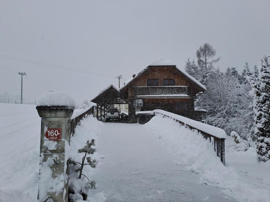 Hiša pozimi, zasnežen dovoz